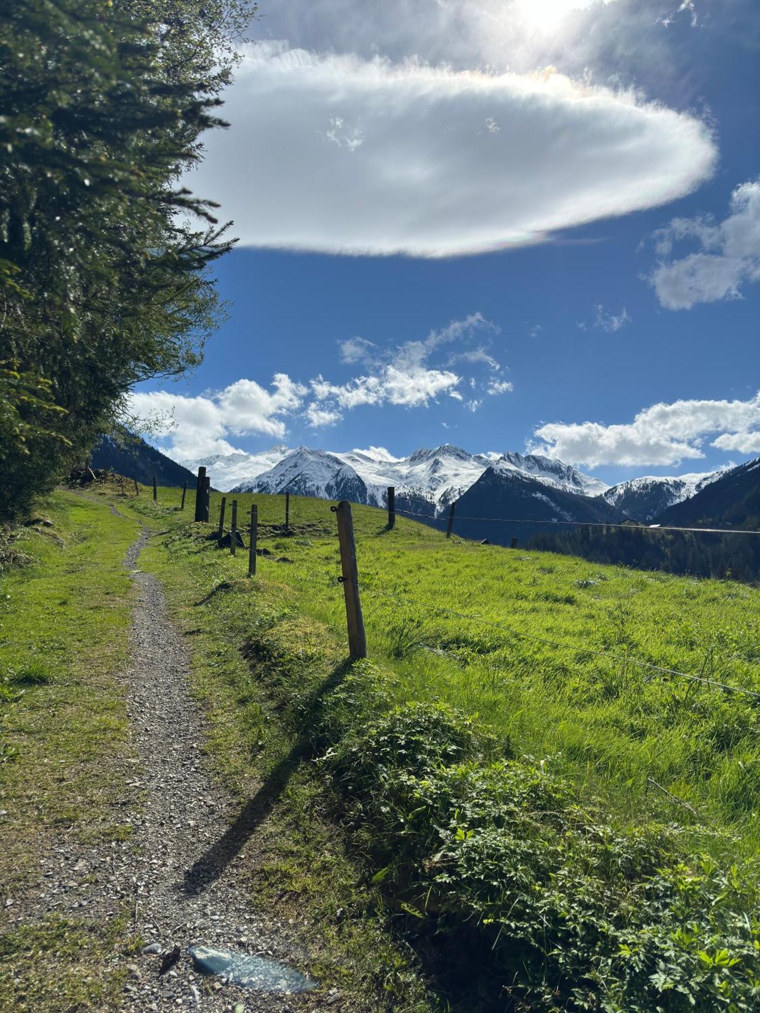 Apartment Waldherz Wald im Pinzgau Bagian luar foto