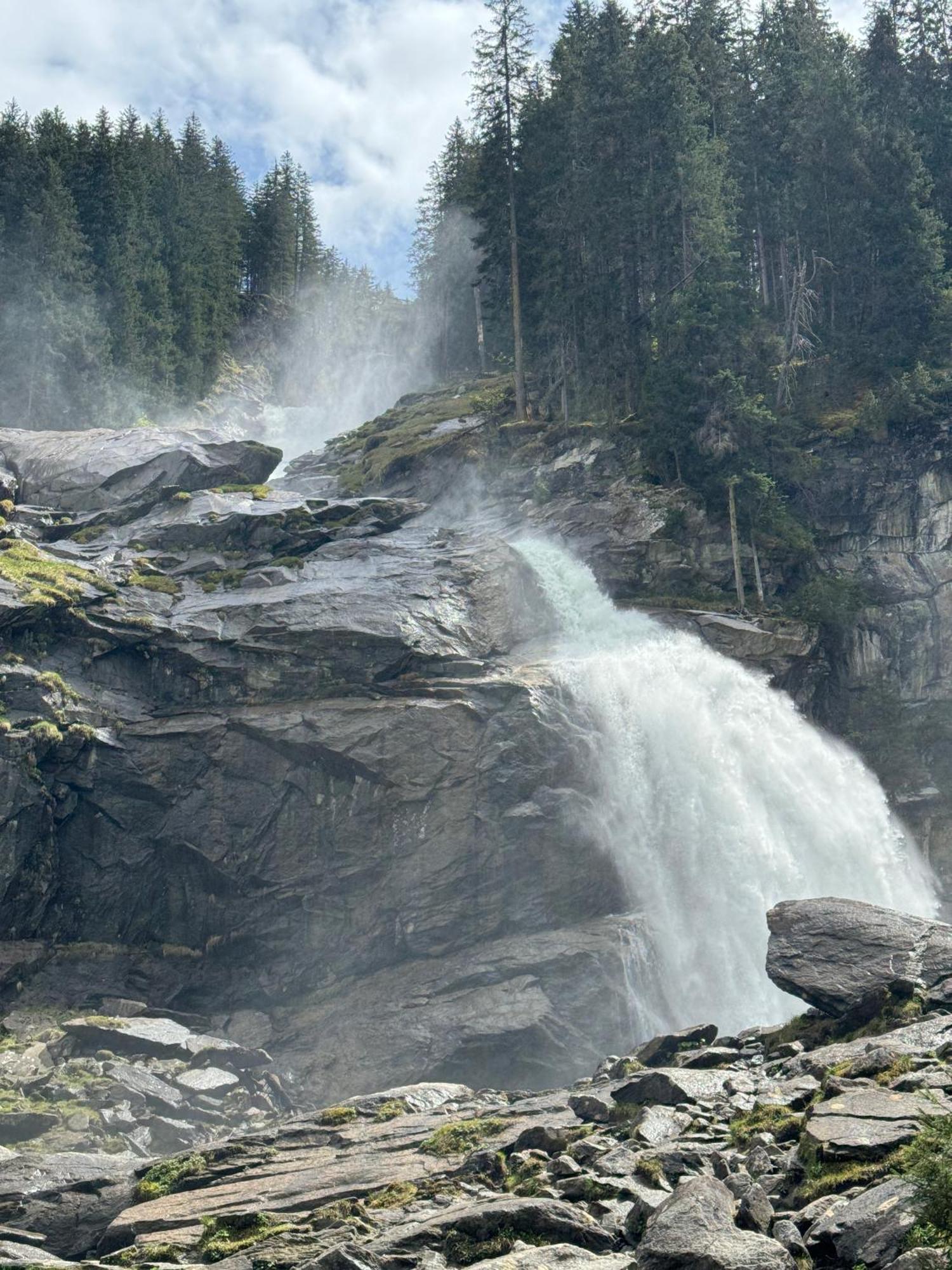 Apartment Waldherz Wald im Pinzgau Bagian luar foto